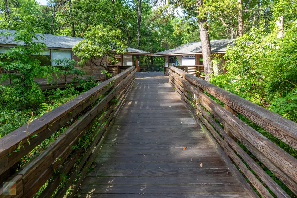 Nags Head Woods Preserve