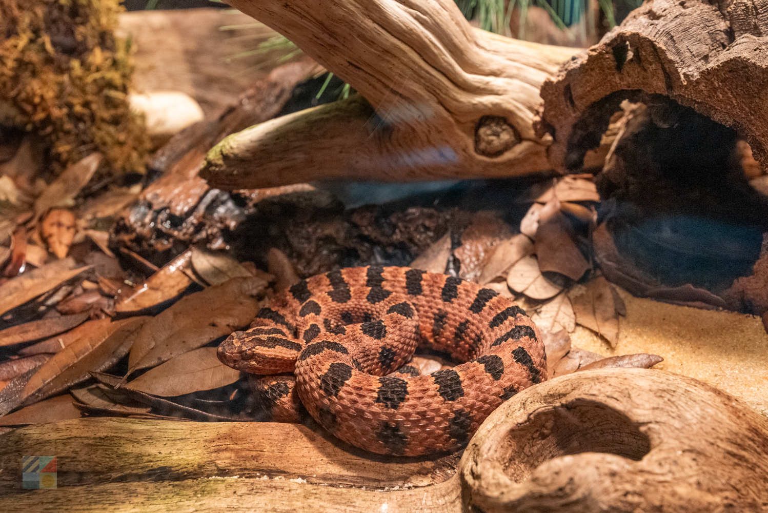 NC Aquarium on Roanoke Island