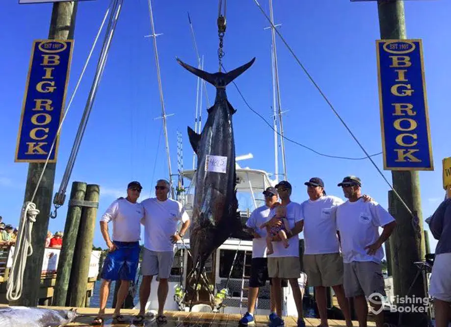 charter image 4