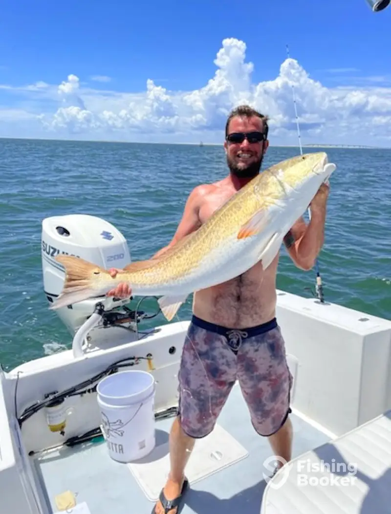 charter image 6
