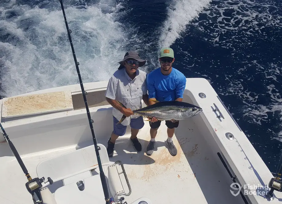 charter image 3