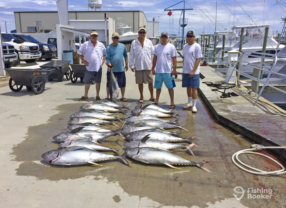 charter image 3