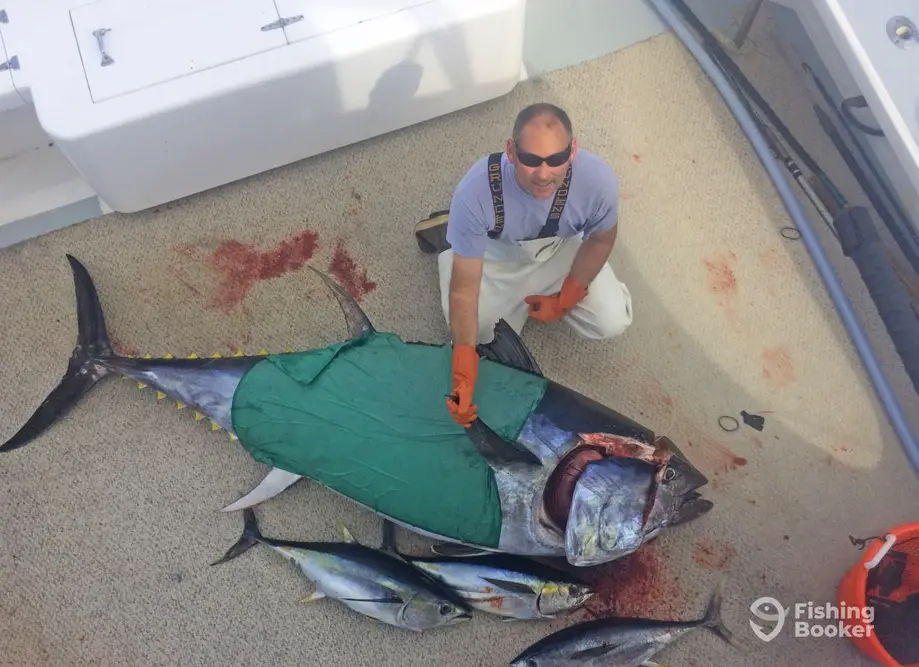 charter image 6