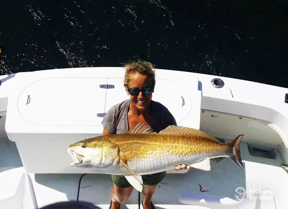 charter image 2