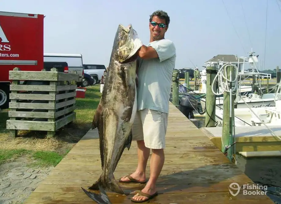 charter image 6