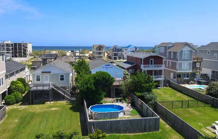 The Purple Whale 493