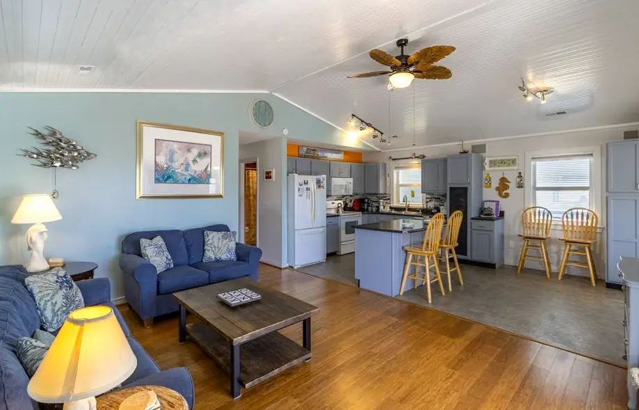 The Purple Whale 493